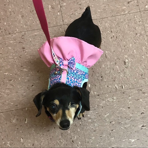 Meet your Posher, Jessica - Picture 4 of 8